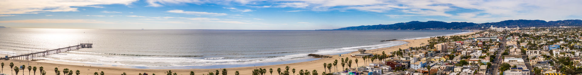 Venice Beach Shutterstock 1313525825